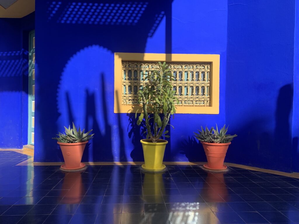 Majorelle garden Marrakech